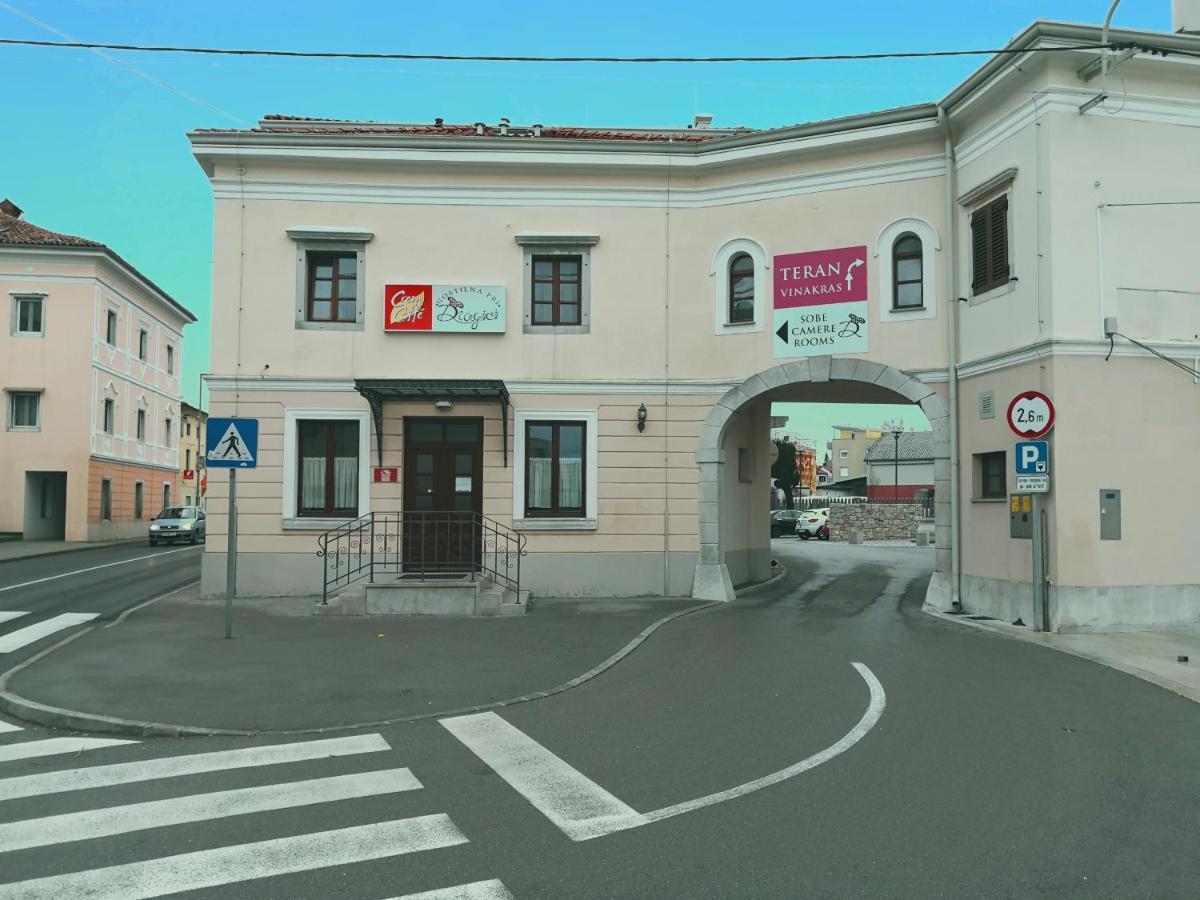 塞扎纳 Gostilna Pri Dragici, Gostilna S Prenocisci, D.O.O.酒店 外观 照片